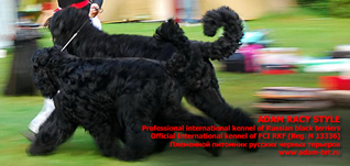 ADAM RAY STYLE INTERNATIONAL PROFFESIONAL KENNEL OF BLACK RUSSIAN TERRIERS